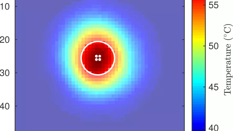 flir