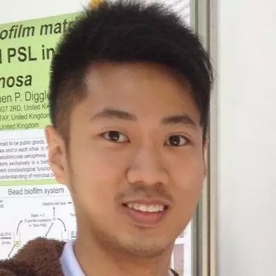 calvin ng